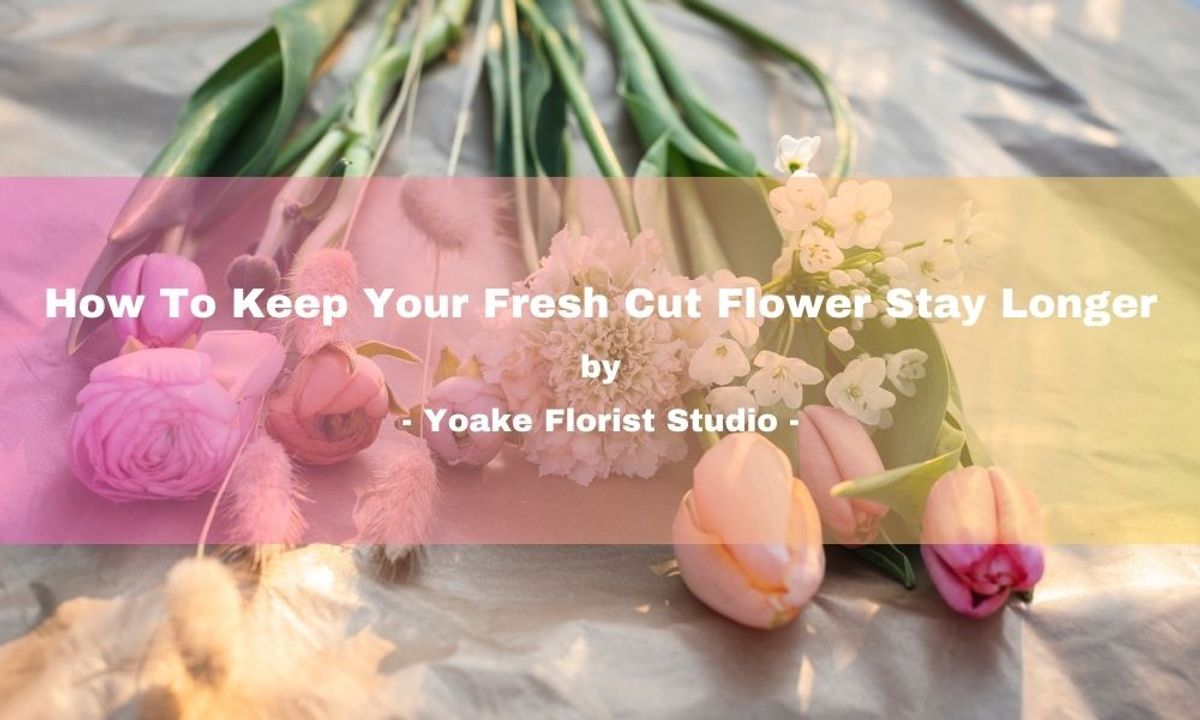 How To Keep Your Fresh Cut Flower Stay Longer By Yoake Florist Studio