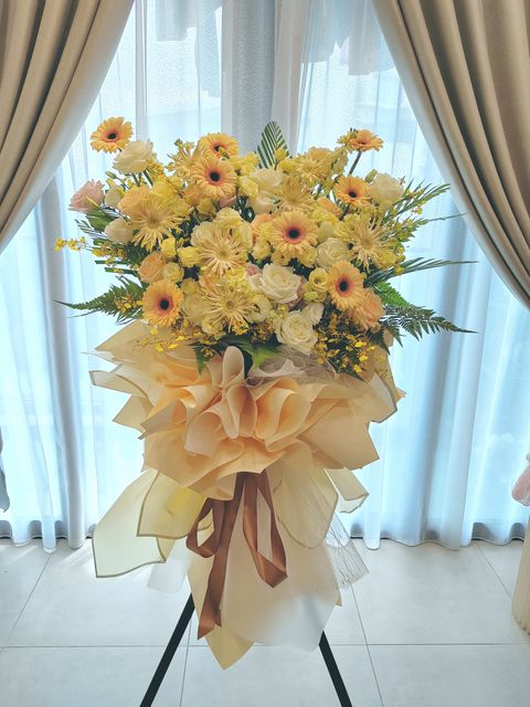 IMG_20240420_105452_edit_1732624501291031