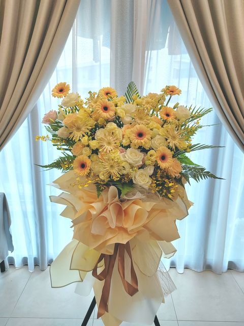 IMG_20240420_105441_edit_1732660041024611