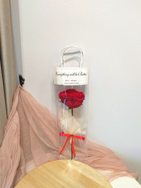 IMG_20250204_104025_edit_490978161683589