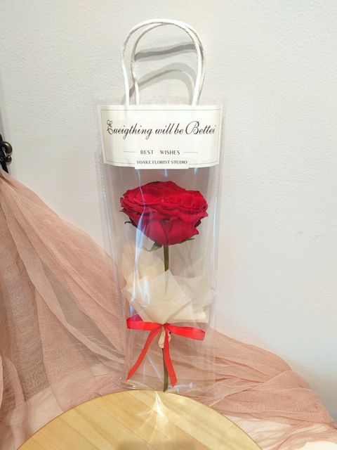 IMG_20250204_104024_edit_490999165962591