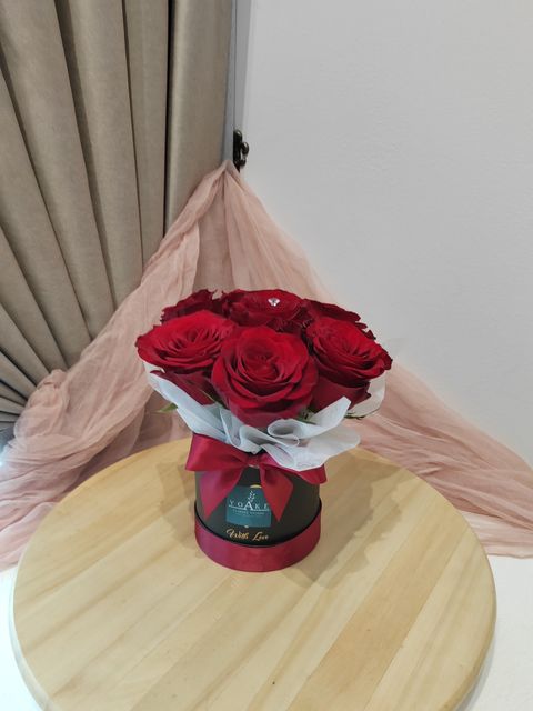 IMG_20250217_151052_1