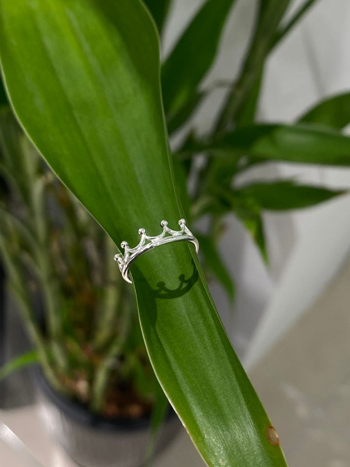 image_picker_727367C6-AD7C-4820-9D9C-942585DF9EBB-30303-00001030D243907D