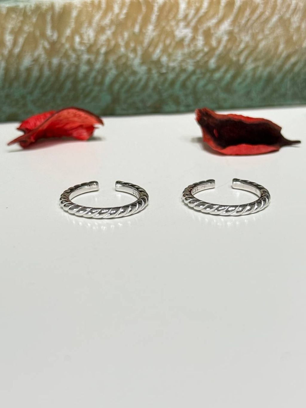 IMG_20251126_150649_239