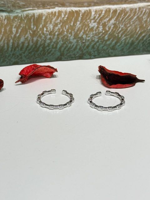 IMG_20251126_150634_593