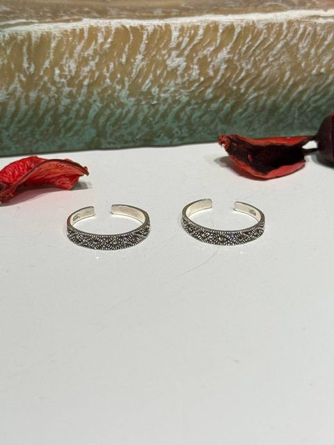 IMG_20251129_162333_500