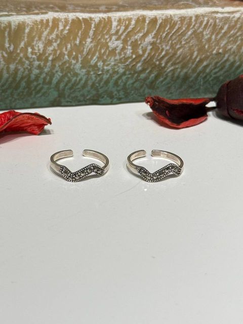 IMG_20251129_162333_049