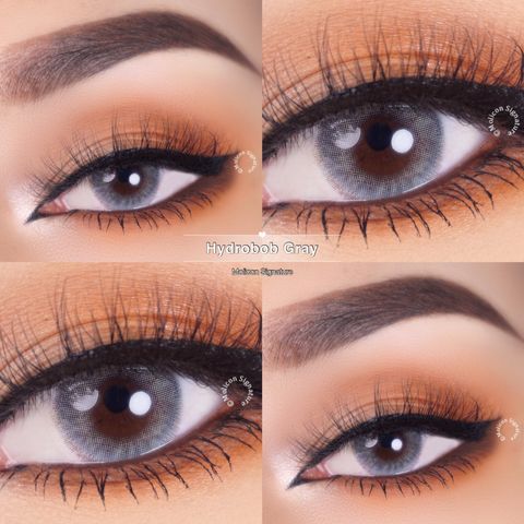 Hydrobob Gray-Eyes.jpg