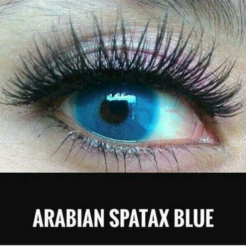 arabian_spartax_lens_1500625404_e5a4d06b.jpg