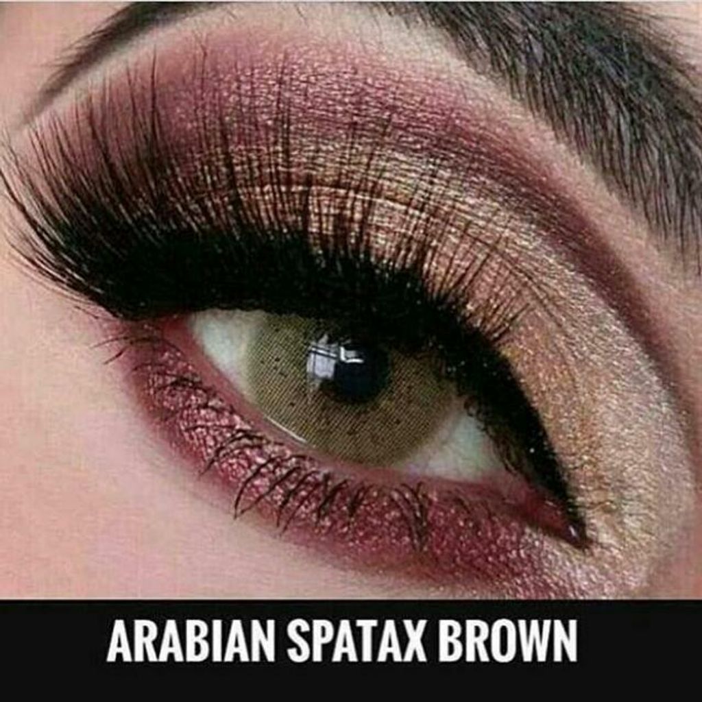 arabian_spartax_lens_1500035779_32c4e821.jpg