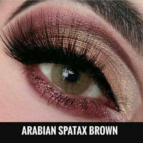 arabian_spartax_lens_1500035779_32c4e821.jpg