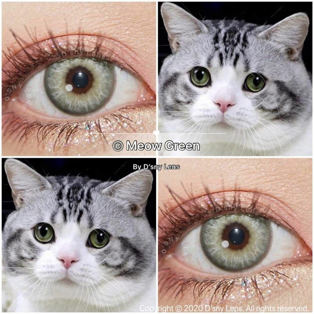 contact_lens_1598156570_e77c4ff4.jpg