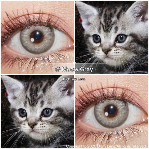 contact_lens_meow_lens_1605414428_973695e7.jpg