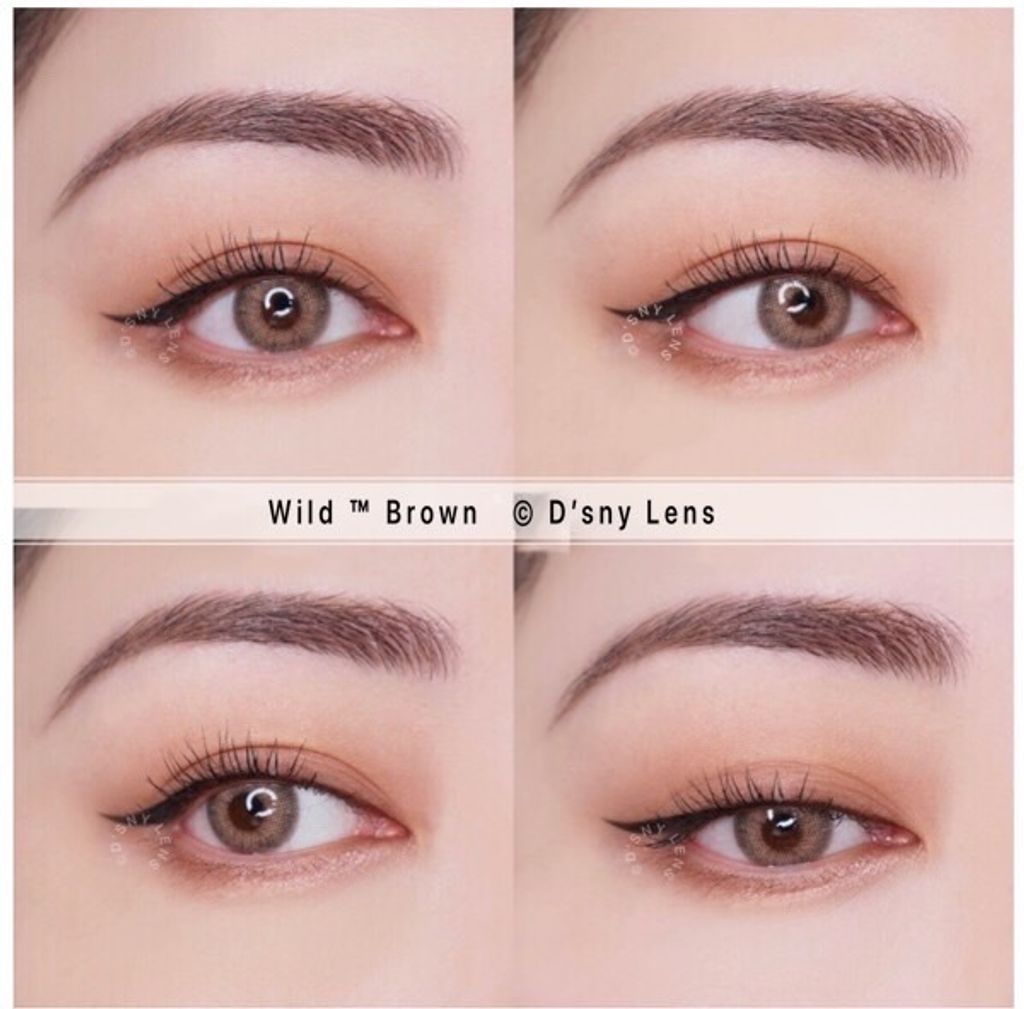 Wild Brown 1.jpeg
