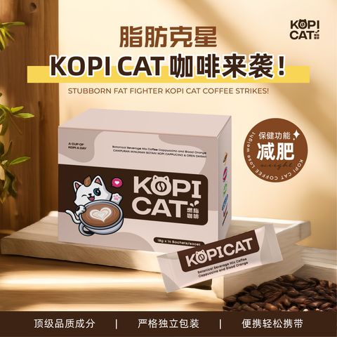 2404 - Kopicat - FBP-01