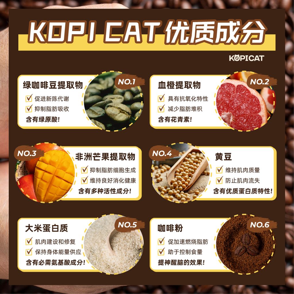 2404 - Kopicat - FBP-07