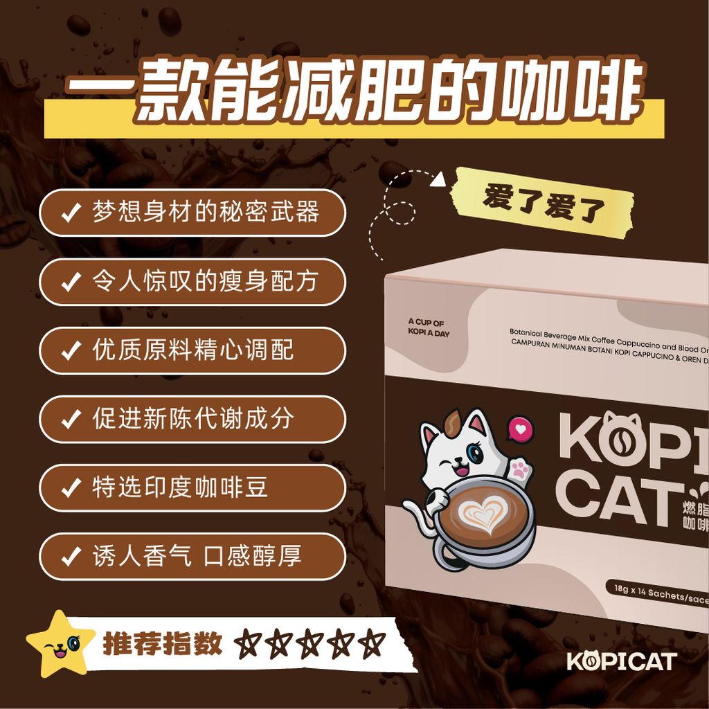 2404 - Kopicat - FBP-02