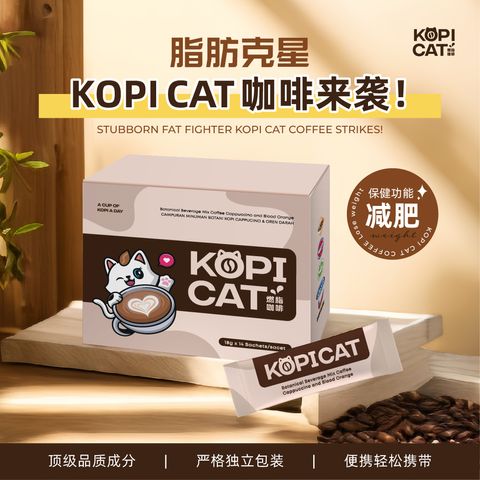 2404 - Kopicat - FBP-01