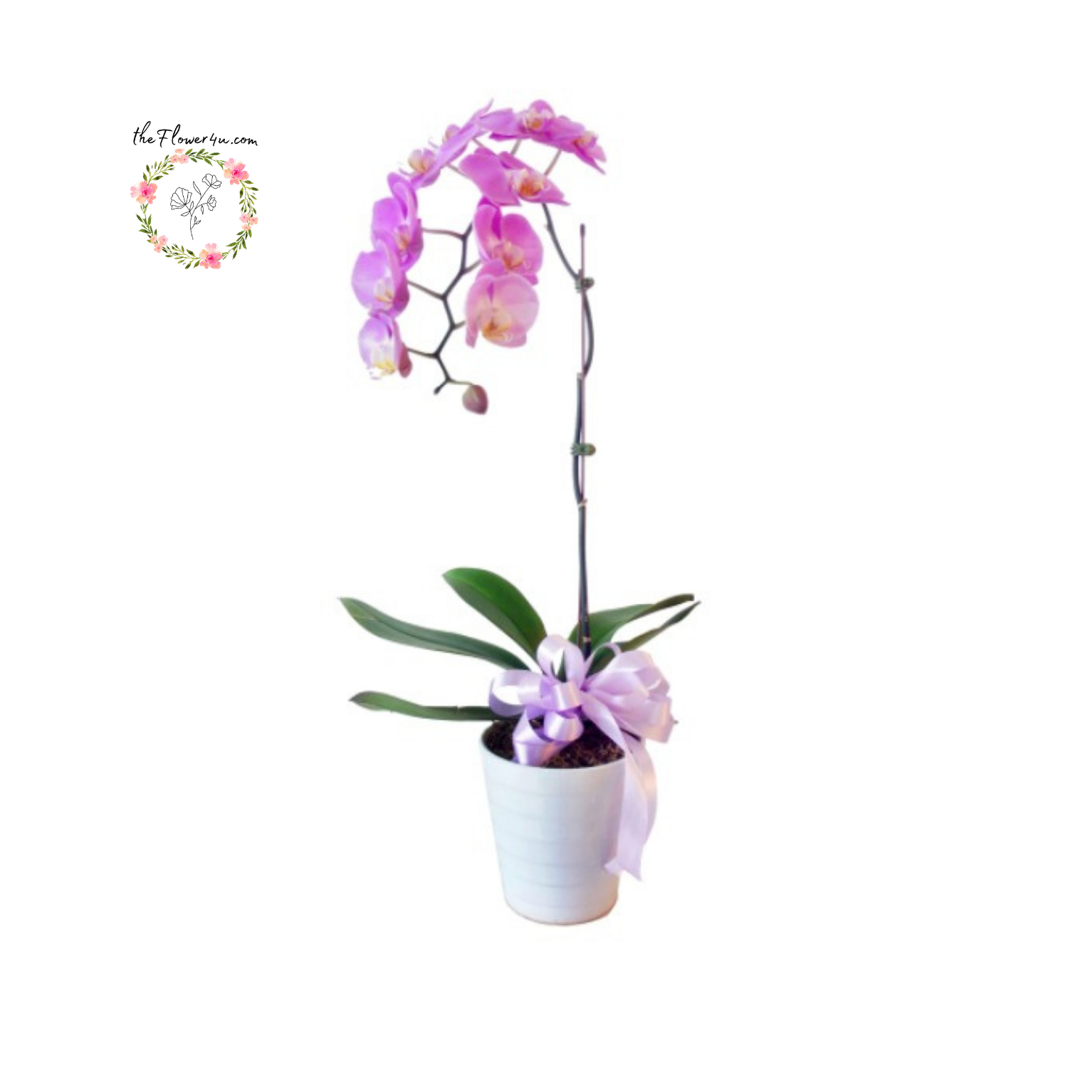 330 (3).png