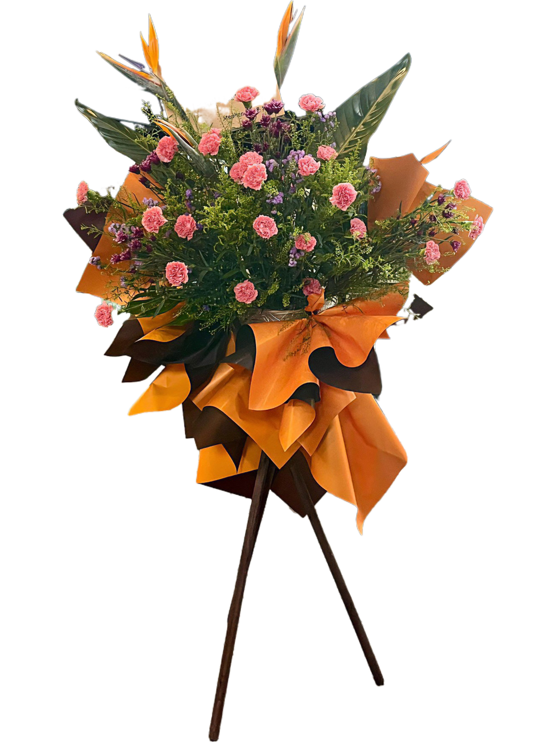 image_BF446F55-C978-41AF-A260-6506776D2674_1756390719