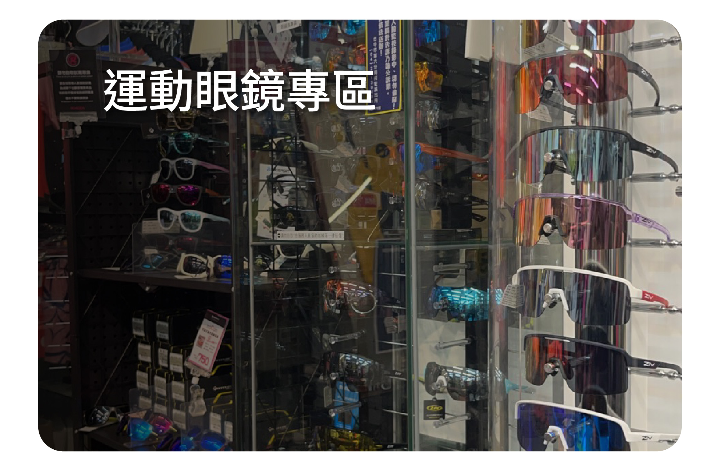 車褲專區