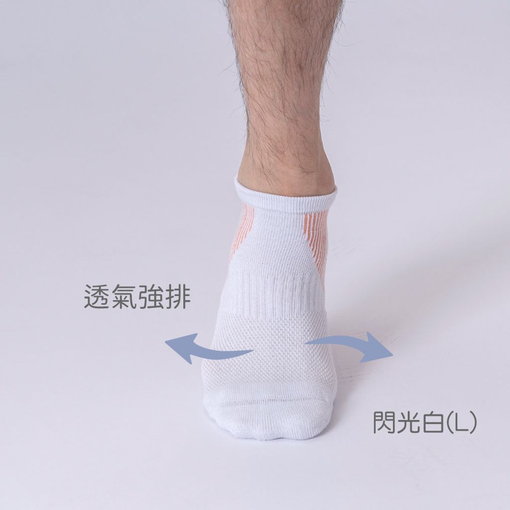 透氣強排-1
