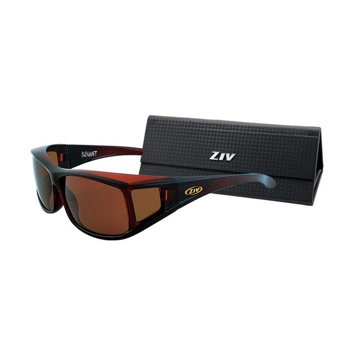 ZIV-24-1