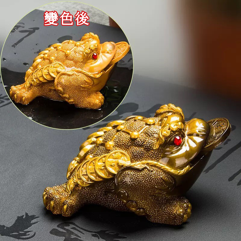 財貔貅金蟾變色茶寵｜龍鳳茶堂036