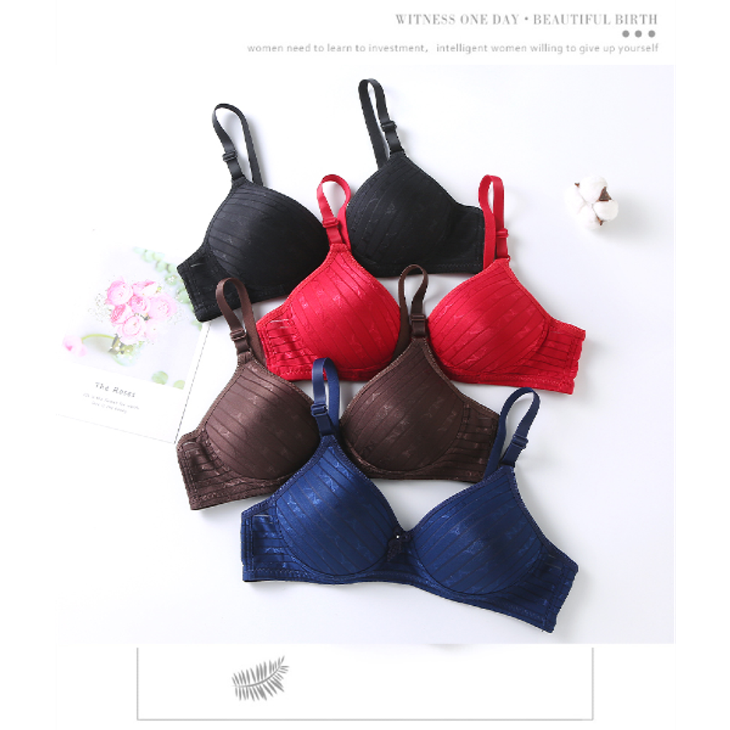 Cover-Website BRA