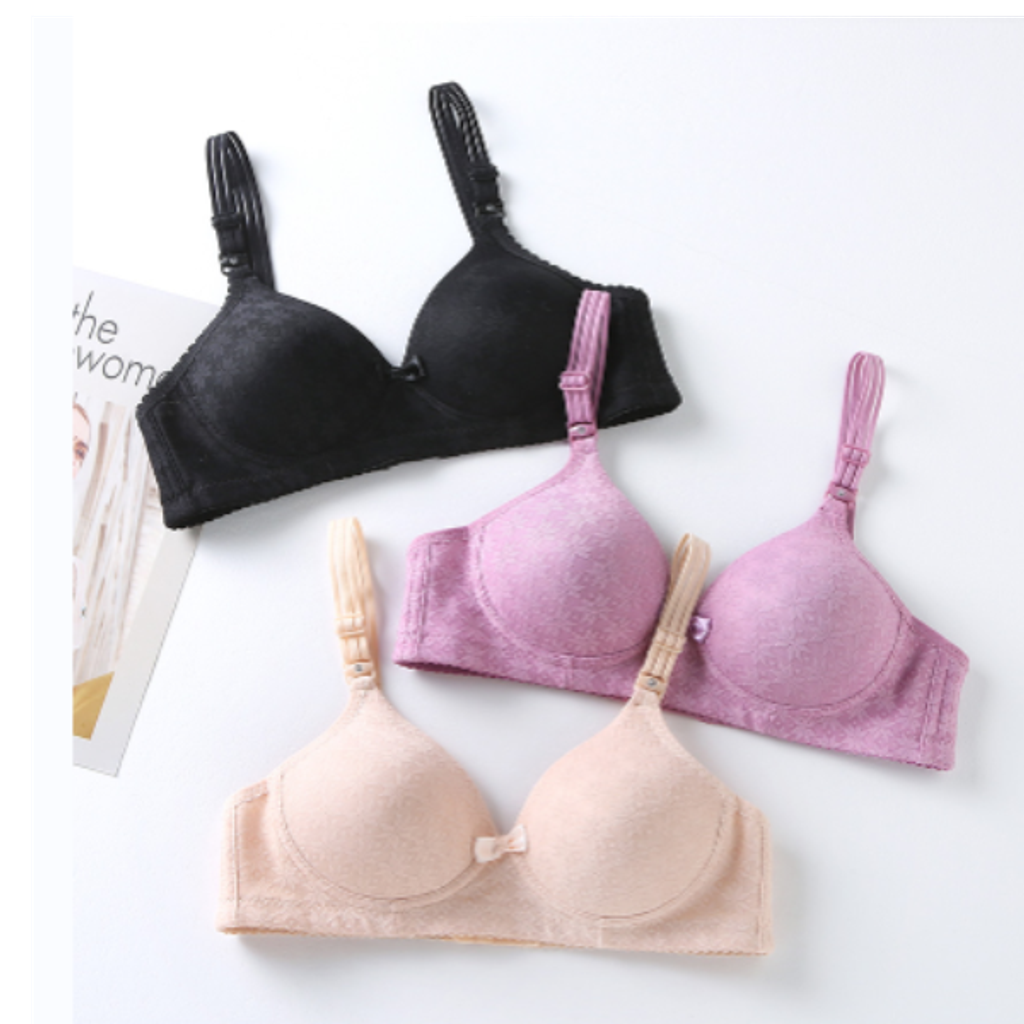 Cover-Website BRA