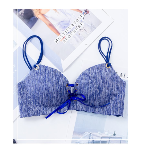 Cover-Website BLUE