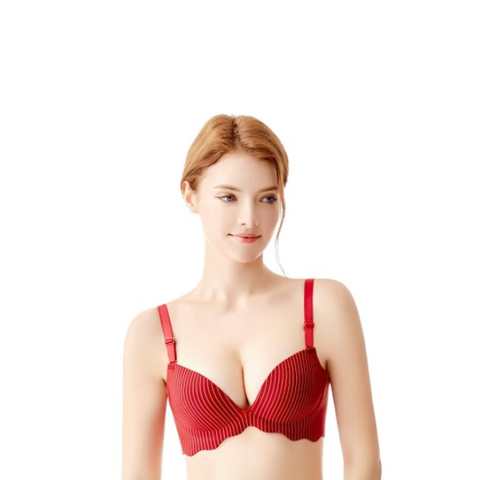 Cover-Website RED