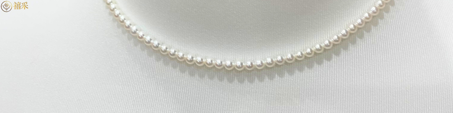 https://cdn.store-assets.com/s/724031/f/17789330.png