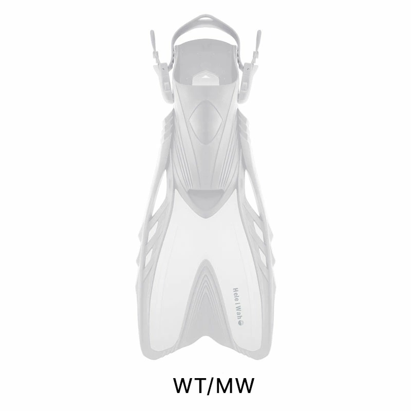 31368003-wtmw
