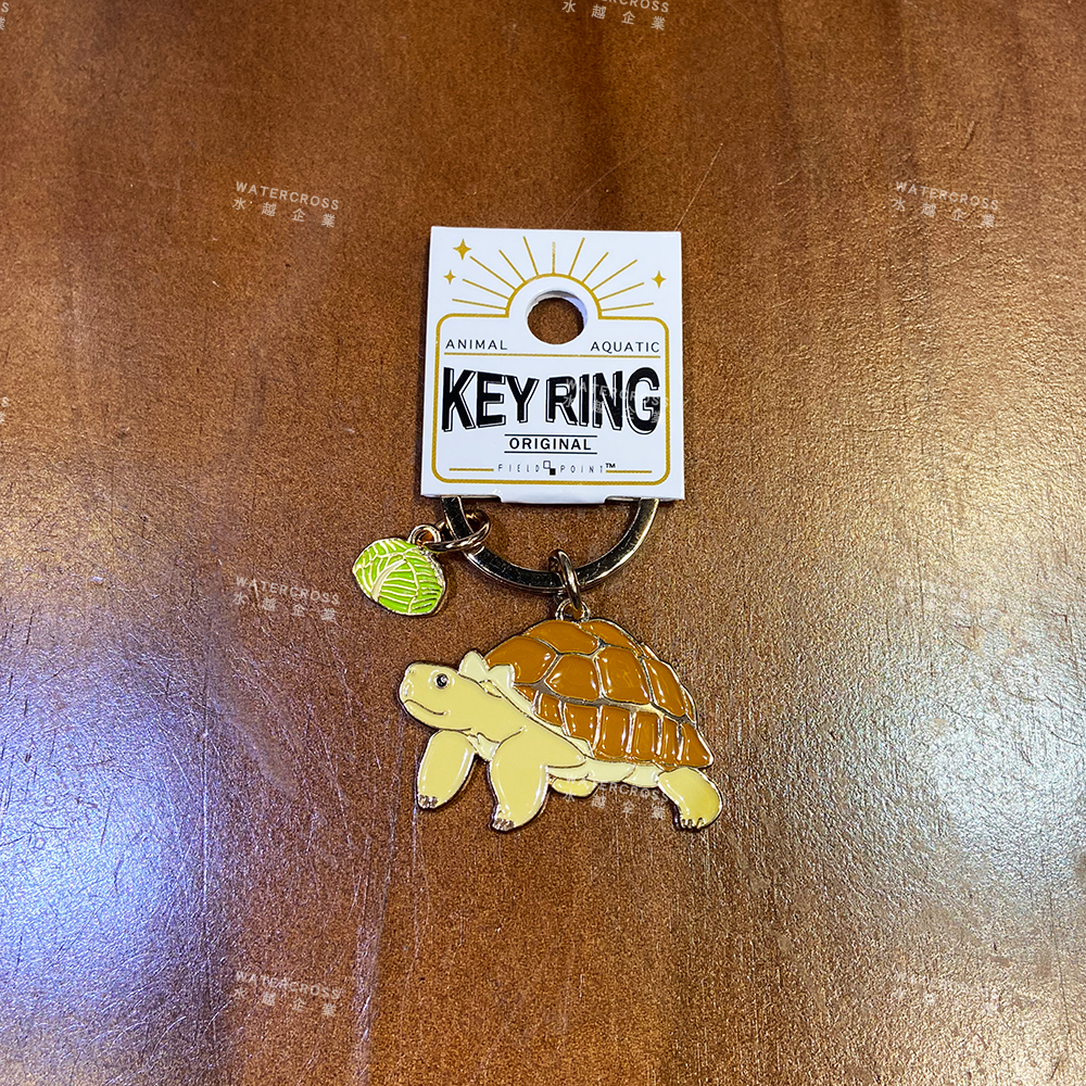 KEY (1)