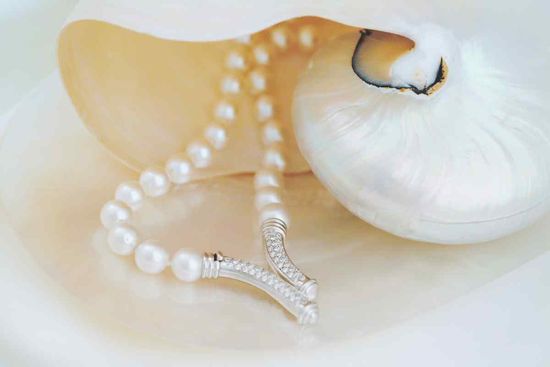  | The Mother Of Pearls