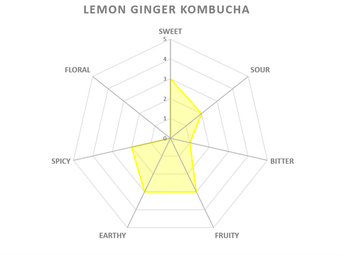Lemon Ginger Kombucha Tasting Notes