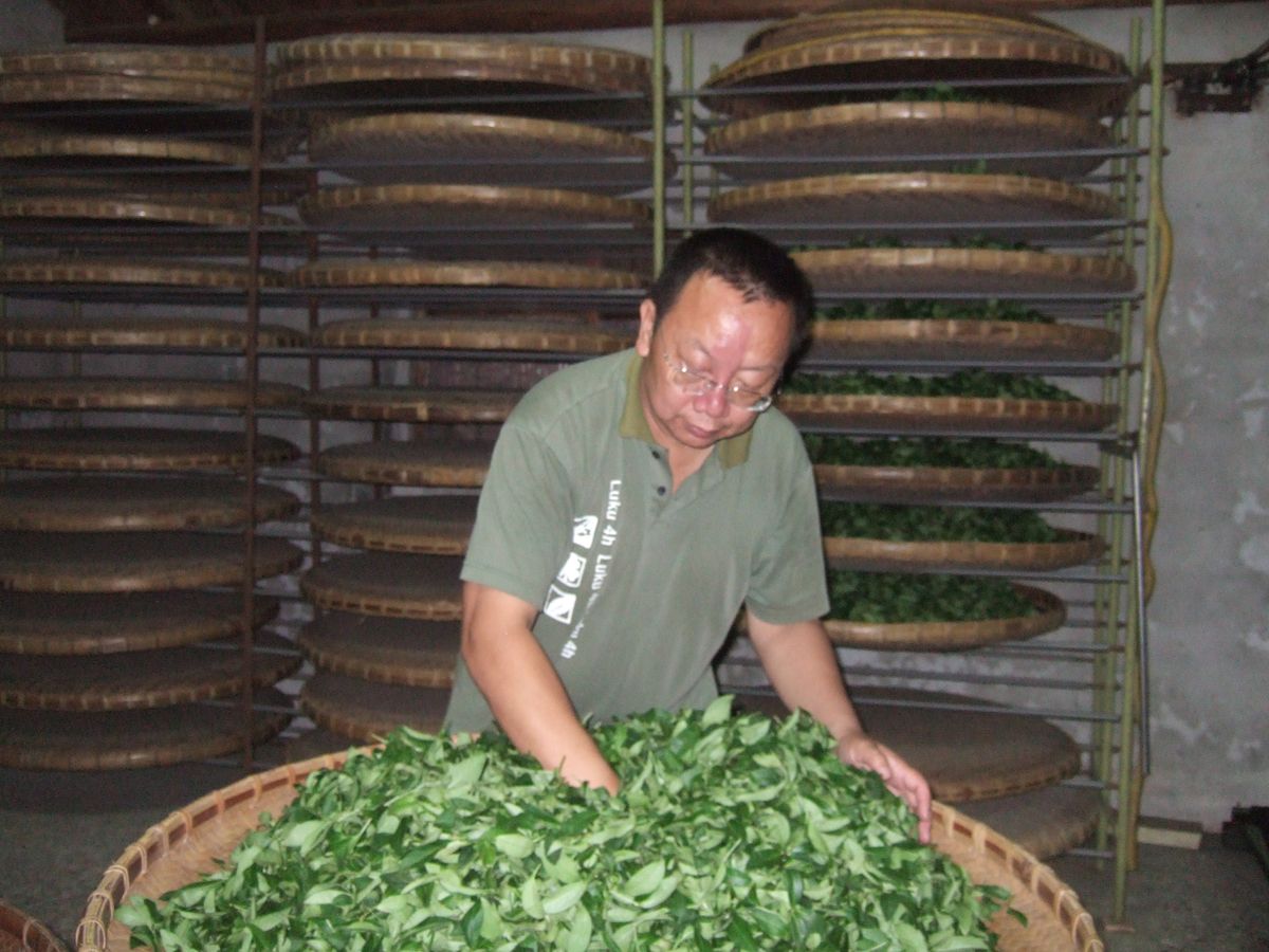 台灣茶品牌怎麼選？企業採購茶葉的3個關鍵
