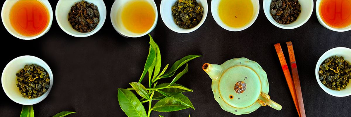 台灣茶葉種類總整理：認識茶葉種類、品種的分辨方式