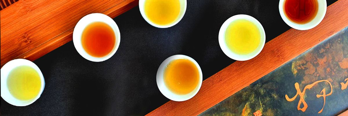 凍頂烏龍茶特色是什麼？根據外型、茶湯顏色正確挑選烏龍茶