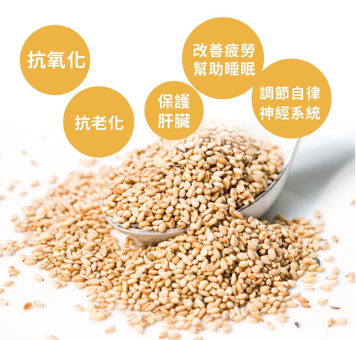 提神靠咖啡,助眠靠「芝麻素」?