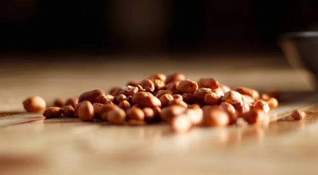 人生酒點伴 | 幹話靈魂系零食 |  - 靈魂系花生