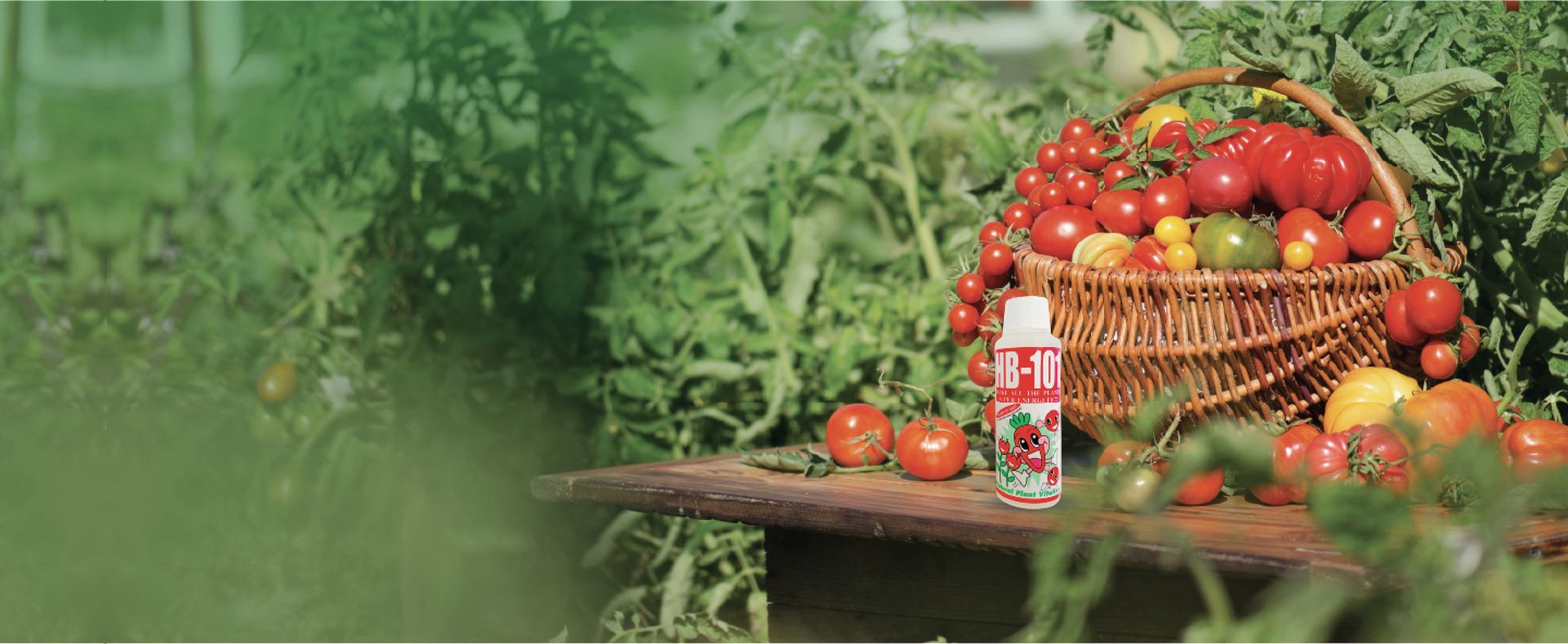 HB-101 Malaysia | Make all the plants super energetic!