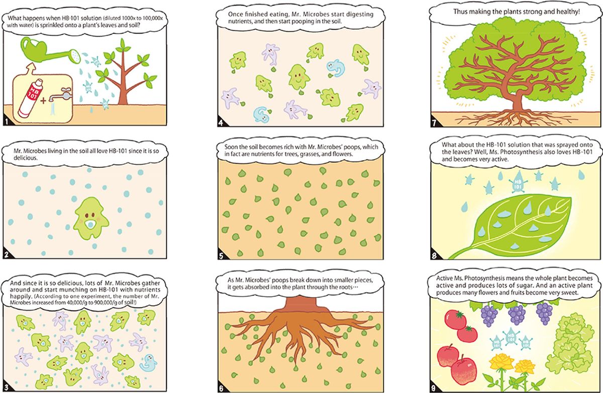 HB-101 Activates the Beneficial Soil Microorganism.