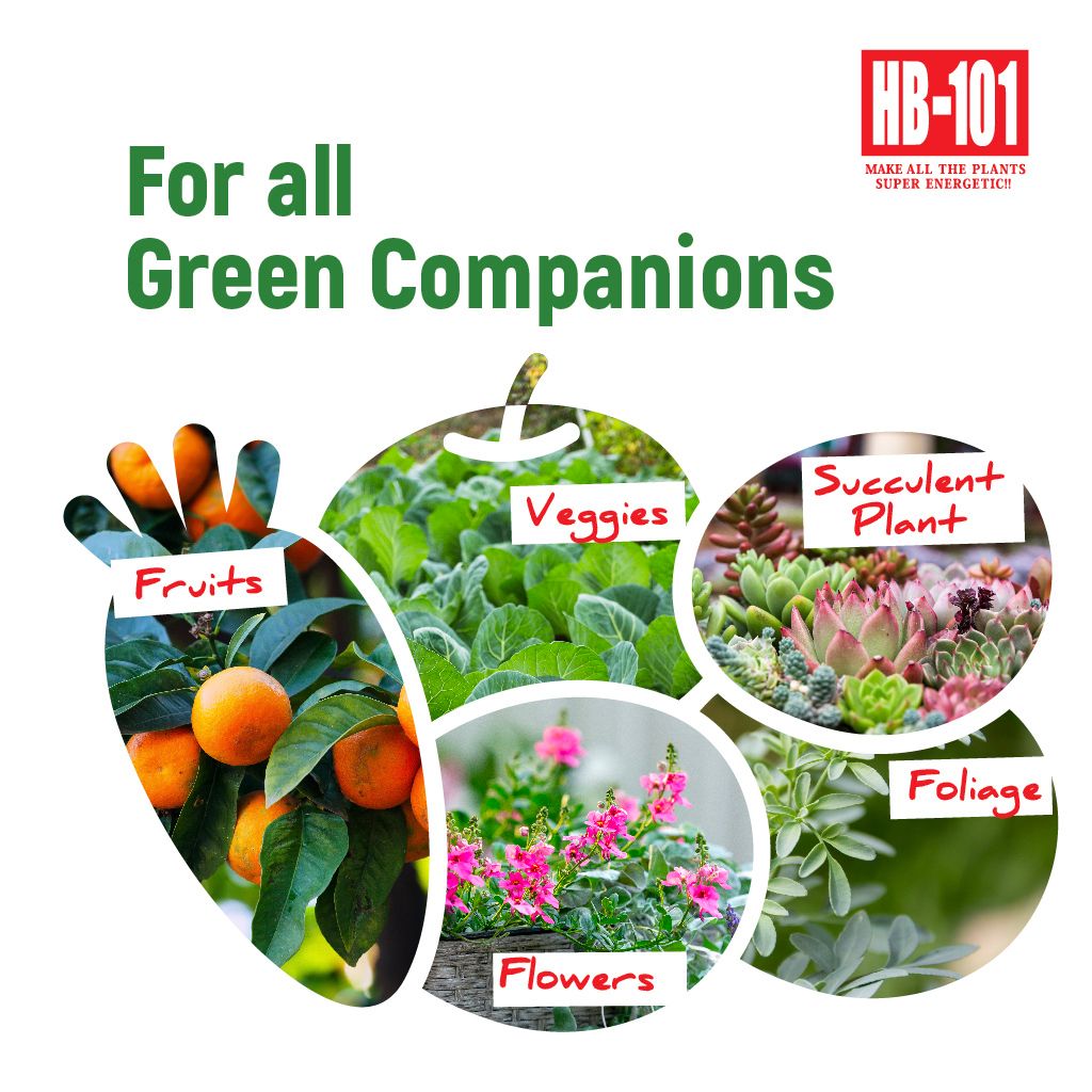 HB101_Marketplace_Visual_Granule_3