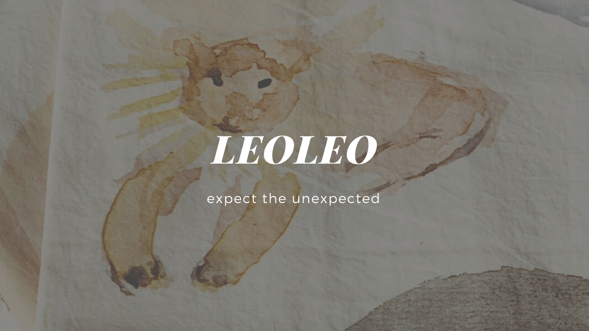 Brand 品牌 // LEOLEO