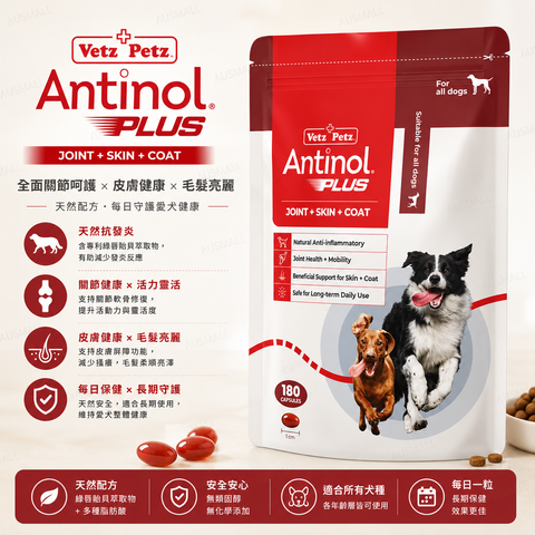 Antinol 狗狗