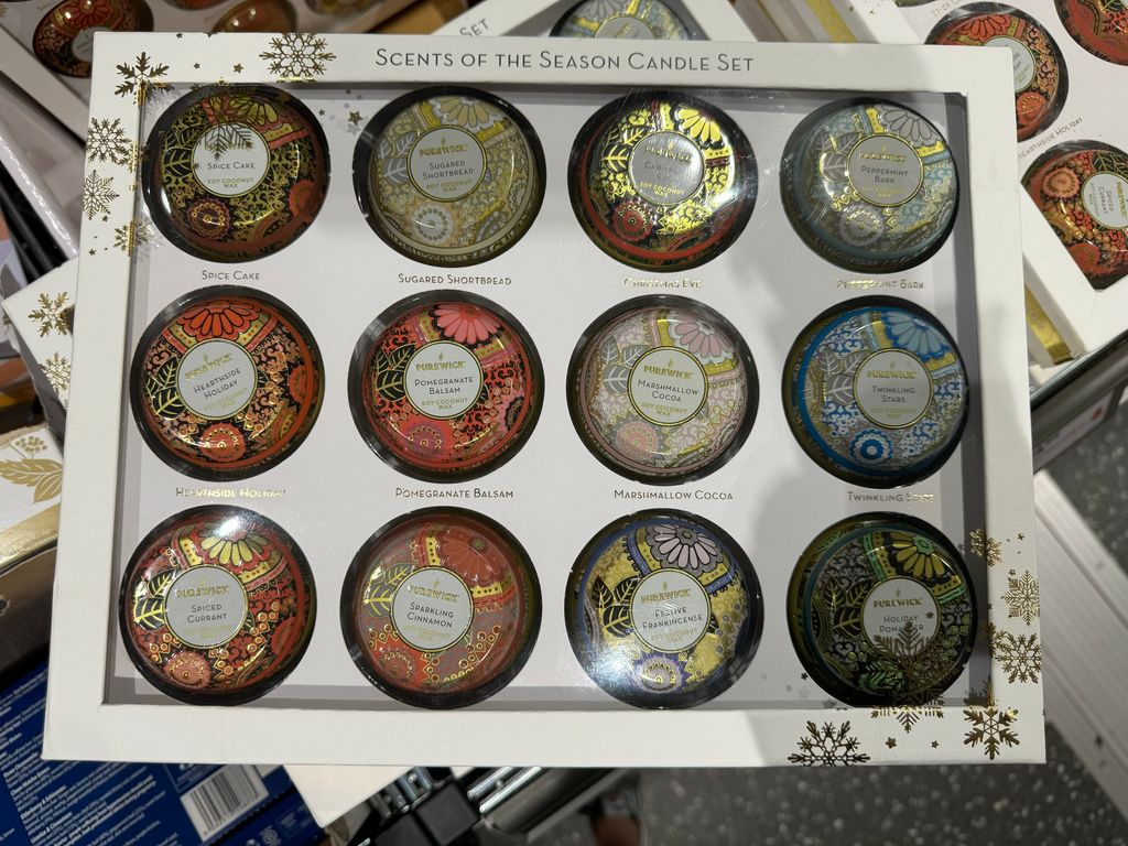 IMG_2206-1698450855048