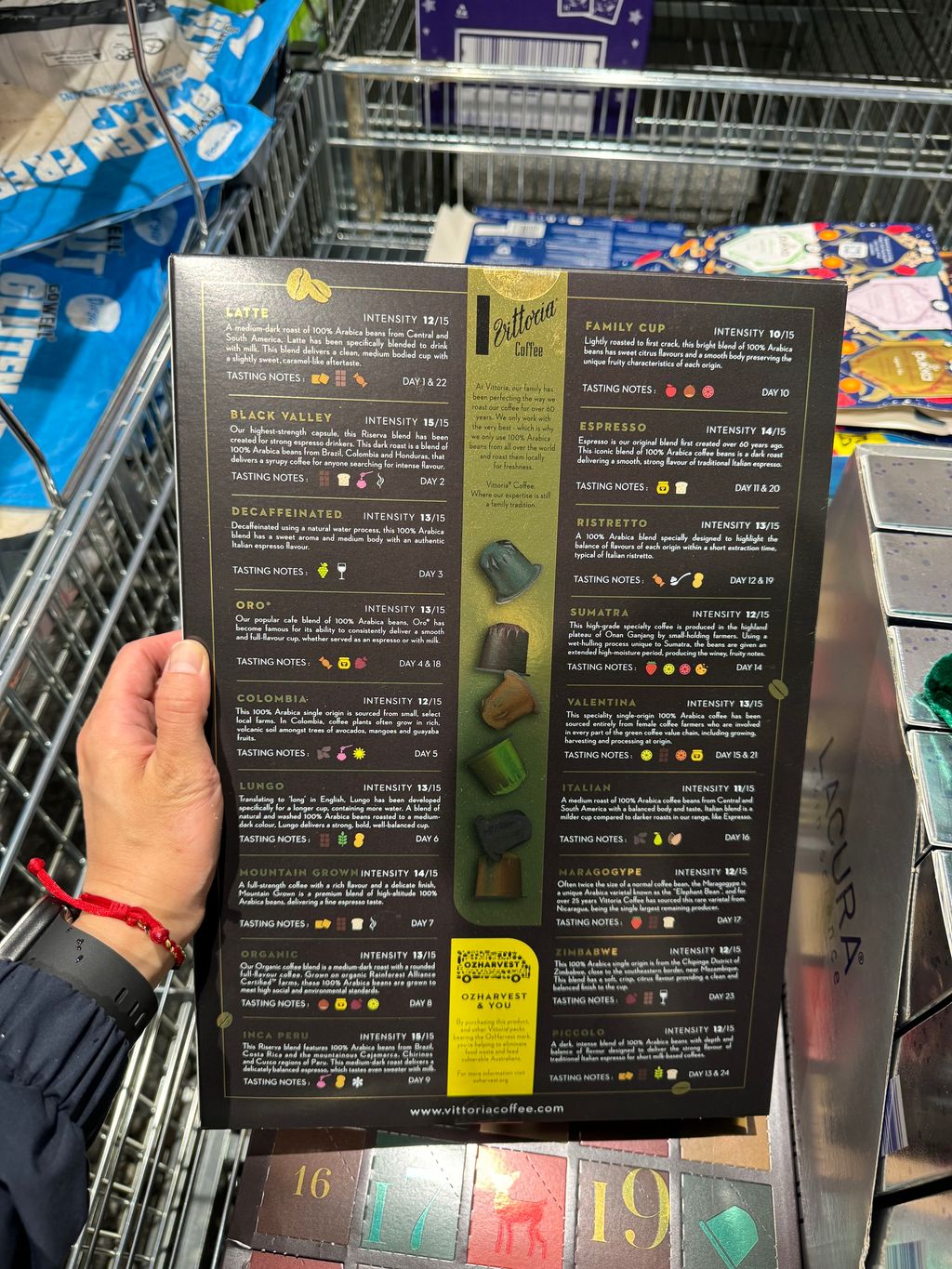 IMG_2298-1698450887252