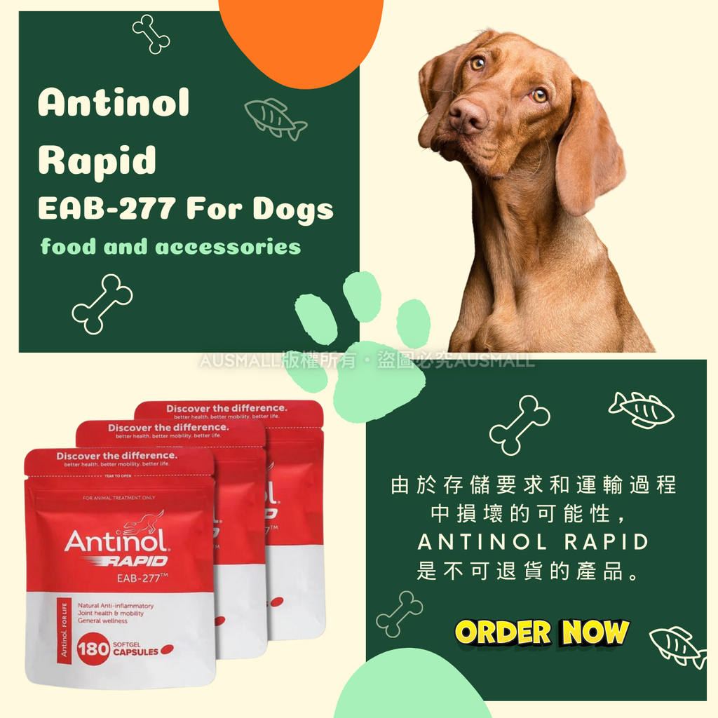 Antinol Rapid EAB-277 狗關節護理